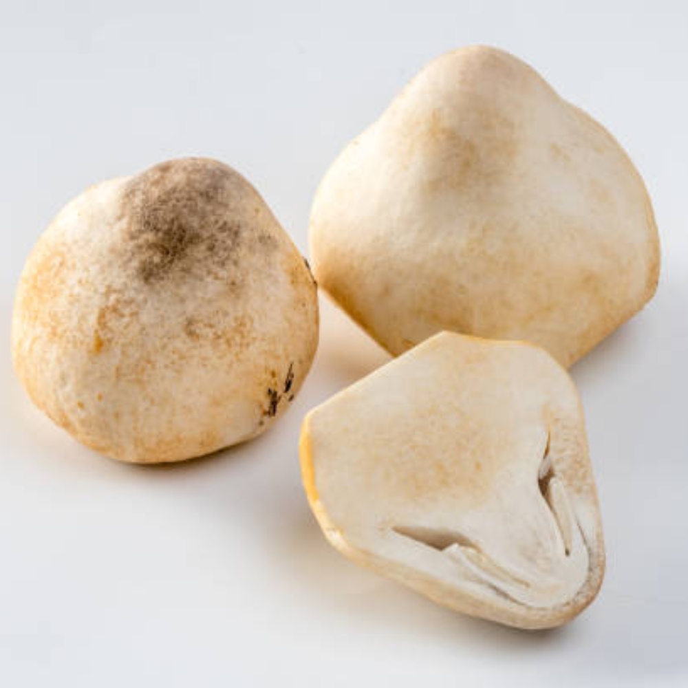 Những Lợi Ích Sức Khỏe Mà Nấm Rơm Mang Lại Cho Cơ Thể Bạn